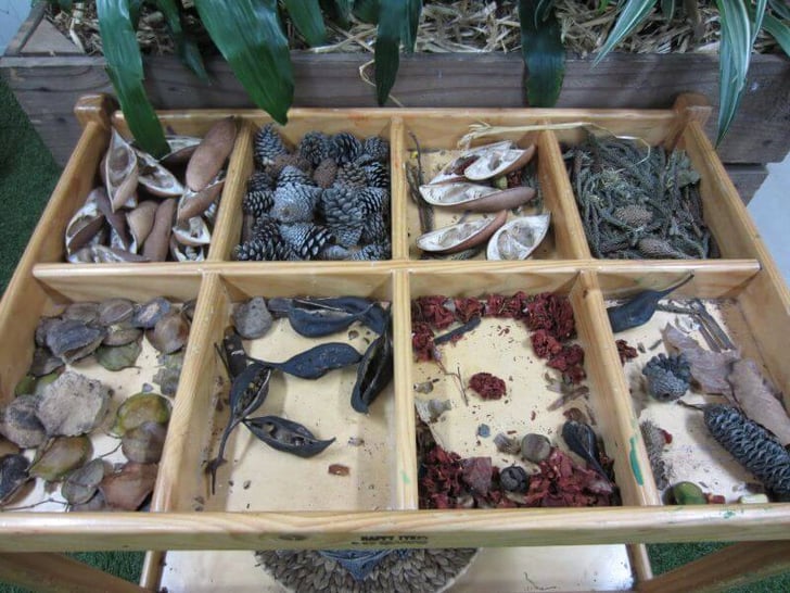 Children's Interactions with Loose Parts